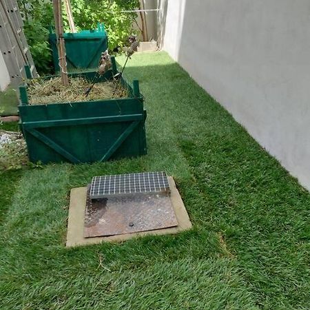 Stilvolle Wohnung Mit Terrasse/Garten 비엔나 외부 사진