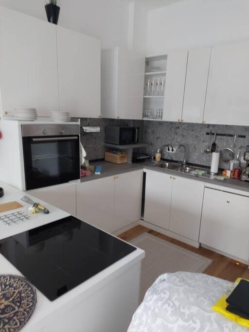 Stilvolle Wohnung Mit Terrasse/Garten 비엔나 외부 사진
